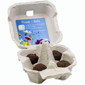Das Grüne vom Ei - Flower-Ball Box - Sommerblumenmischung