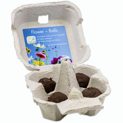 Das Grüne vom Ei - Flower-Ball Box - Sommerblumenmischung (Bild 1)