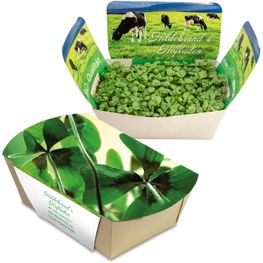 Pflanzodrom mit Samen - Glücksklee-Zwiebeln (* Je nach Verfügbarkeit der Glücksklee-Zwiebeln)