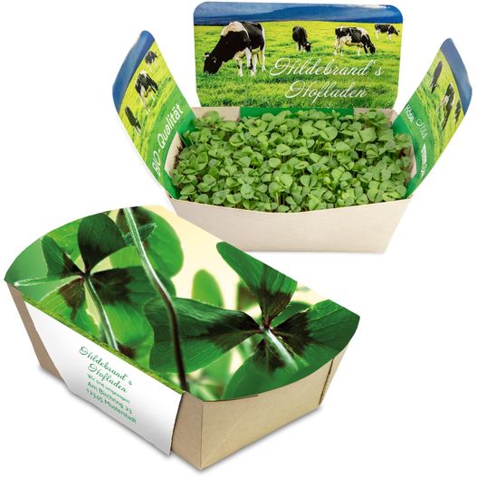 Pflanzodrom mit Samen - Glücksklee-Zwiebeln (* Je nach Verfügbarkeit der Glücksklee-Zwiebeln) (Bild 1)