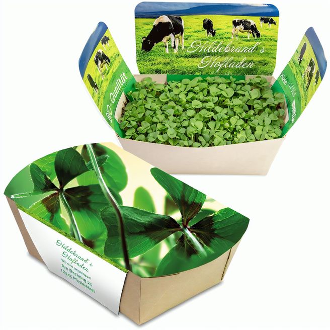 Pflanzodrom mit Samen - Glücksklee-Zwiebeln (* Je nach Verfügbarkeit der Glücksklee-Zwiebeln)