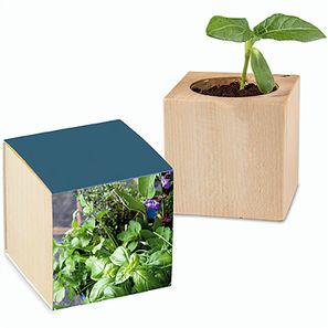 Pflanz-Holz mit Samen - Kräutermischung, 1 Seite gelasert