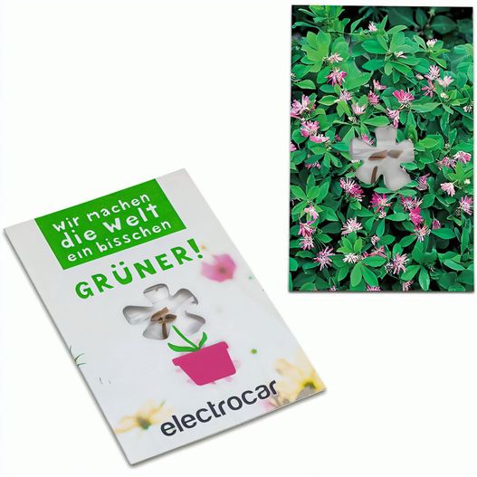 Produktabbildung Samen-Karte-Mini Blume - Persicher Klee Samen-Karte-Mini Blume - Persicher Klee (Bild 1)
