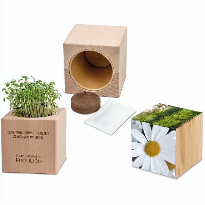Pflanz-Holz Grande mit Samen - Margerite, 1 Seite gelasert