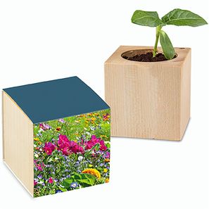 Pflanz-Holz mit Samen - Sommerblumenmischung, 2 Seiten gelasert