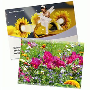 Samentütchen Groß - Standardpapier - Sommerblumenmischung