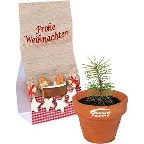 Logo-Töpfchen Überreichverpackung mit Samen - Fichte