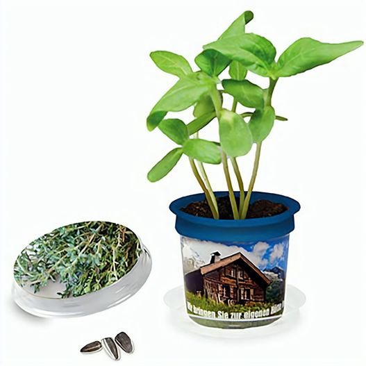 Produktabbildung Florero-Töpfchen mit Samen - blau - Thymian Florero-Töpfchen mit Samen - blau - Thymian (Bild 1)