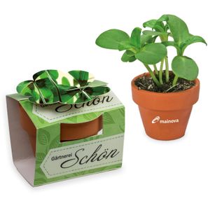 Tontöpfchen-Blume mit Samen - Glücksklee-Zwiebeln inkl. Tampondruck (* Je nach Verfügbarkeit der Glücksklee-Zwiebeln)