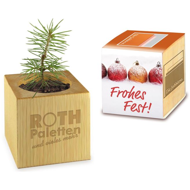 Pflanz-Holz Xmas mit Fichtensamen - Fichte