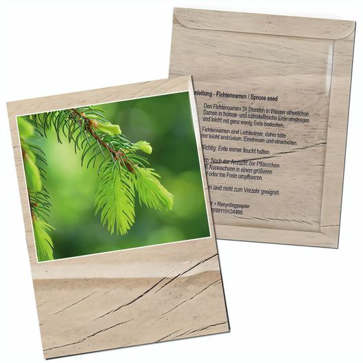 Samentütchen - Standardmotiv  - Fichte (Bild 1)