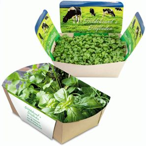 Pflanzodrom mit Samen - Kräutermischung