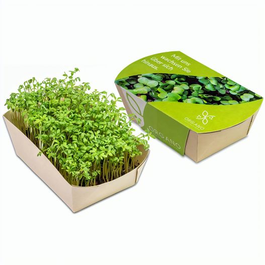Microgreens-Gärtchen - Kresse (Bild 1)