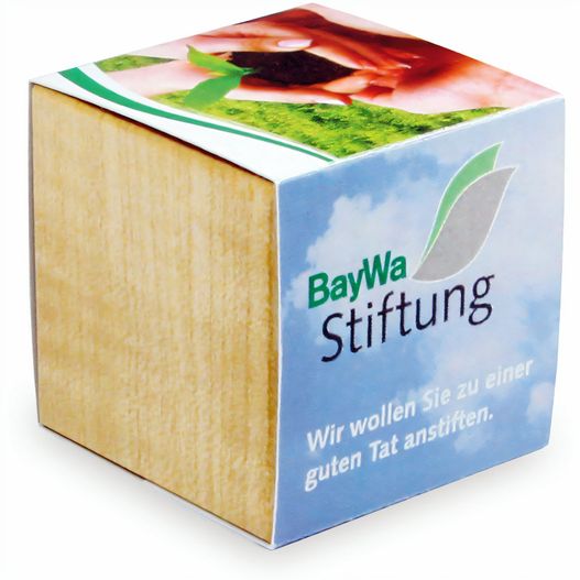 Pflanz-Holz Magnet mit Samen - Sommerblumenmischung, 1 Seite gelasert (Bild 1)