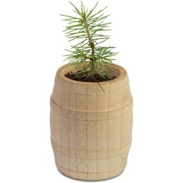 Produktabbildung Pflanz-Fässchen mit Samen - Fichte, Lasergravur Pflanz-Fässchen mit Samen - Fichte, Lasergravur