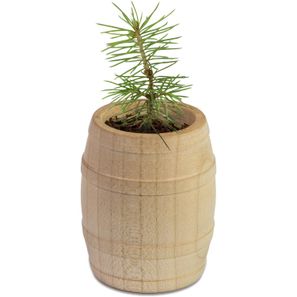 Pflanz-Fässchen mit Samen - Fichte, Lasergravur