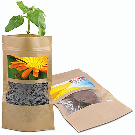 Grünes aus der Tüte mit Samen - Ringelblume (Bild 1)