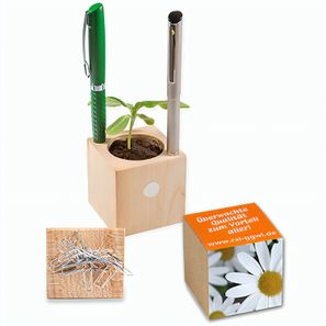 Pflanz-Holz Büro mit Samen - Margerite