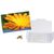 Flower-Card mit Samen - Ringelblume (Bild 1)