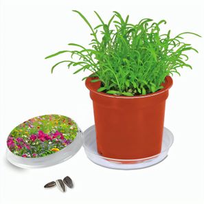 Florero-Töpfchen mit Samen - terracotta - Sommerblumenmischung