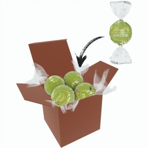 Color Lindor Box