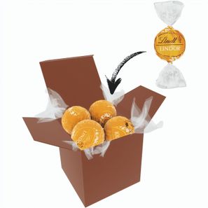Color Lindor Box