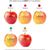 LogoFrucht Apfel "Brainstorming" rot (Bild 2)