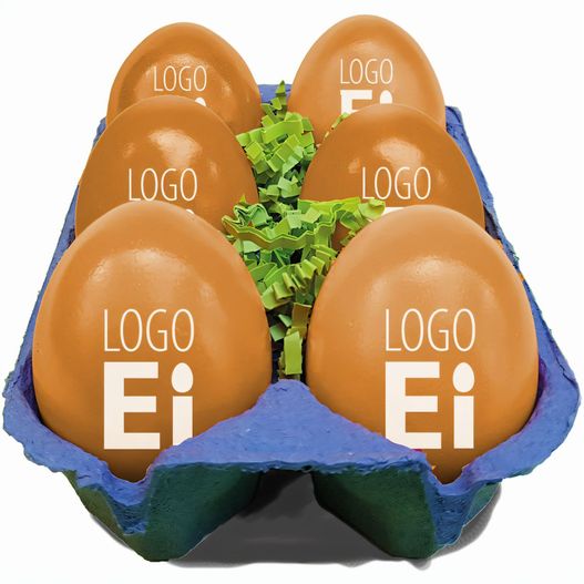 LogoEi 6er-Box (Bild 1)