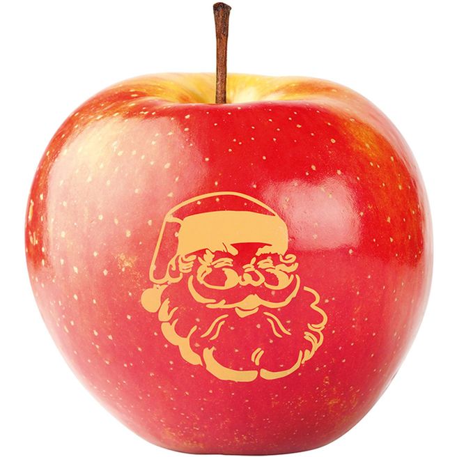 LogoFrucht Apfel Nikolaus