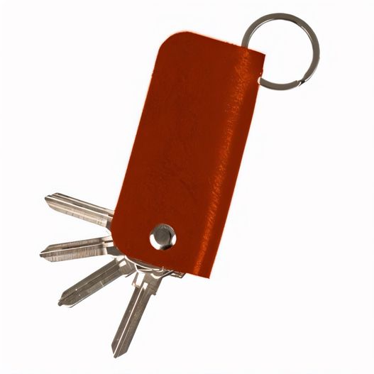 ein kleines rotes taschenmesser mit schlüsselanhänger Schlüsseletui (Bild 1)