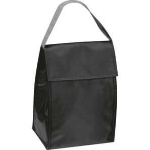 Kühltasche