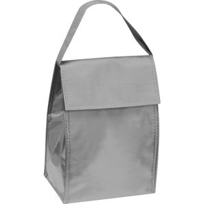 Kühltasche