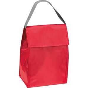Kühltasche