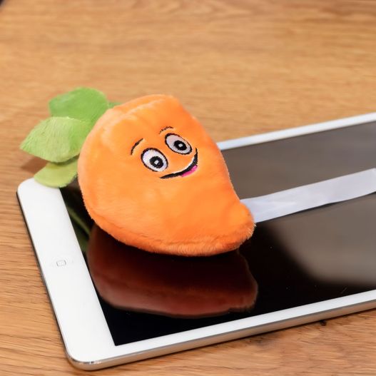 Produktabbildung Schmoozies® Karotte Schmoozies® Karotte (Bild 1)