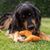 Hundespielzeug Knochen (Bild 2)