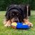 Hundespielzeug Flying Disc (Bild 4)