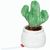 Schmoozies® Evergreenies® Kaktus (Bild 2)