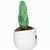 Schmoozies® Evergreenies® Kaktus (Bild 3)