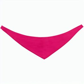 Bildschirmreiniger Maus