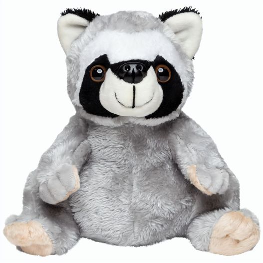 Waschbär Kuddel (Bild 1)