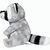 Waschbär Kuddel (Bild 2)