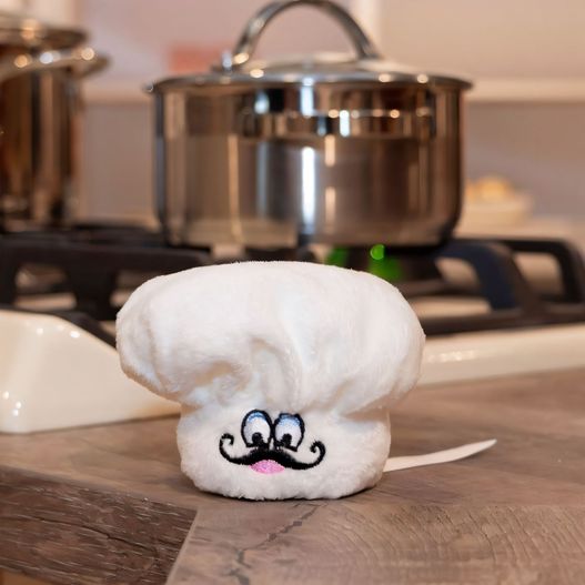 Mini-T-Shirt (Bild 1)