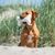 Hundespielzeug Knochen (Bild 2)
