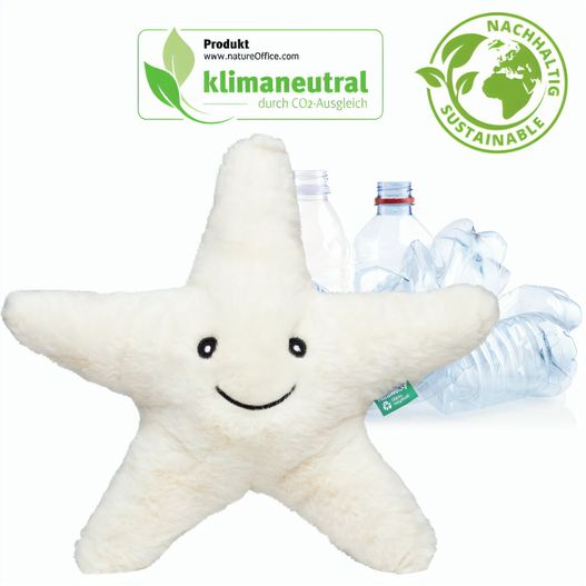 RecycelStern (Bild 1)