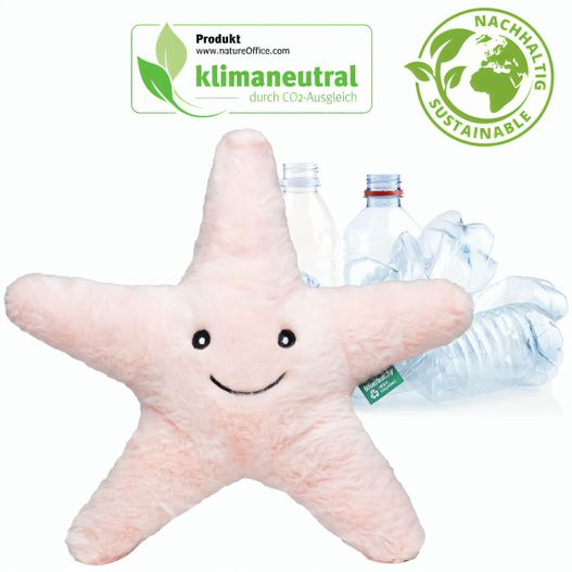 RecycelStern (Bild 1)