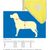 Hundewarnweste (Bild 2)