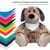 Hund Constantin (Bild 3)
