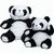 Panda Steffen (Bild 2)