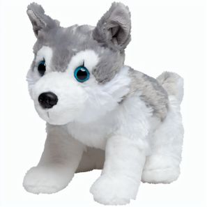 Husky Harri