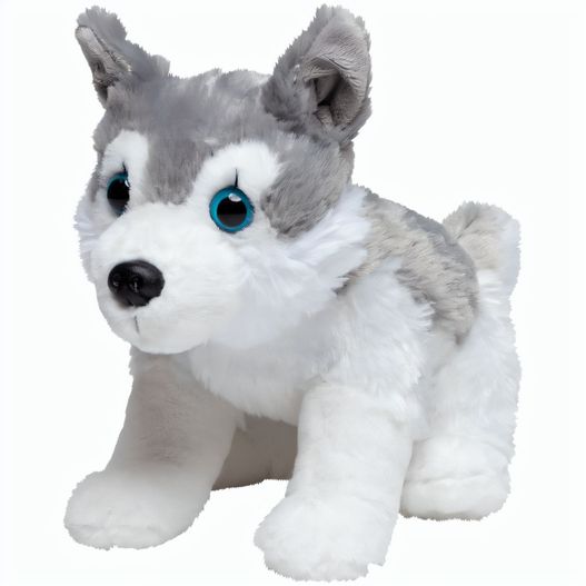 Husky Harri (Bild 1)